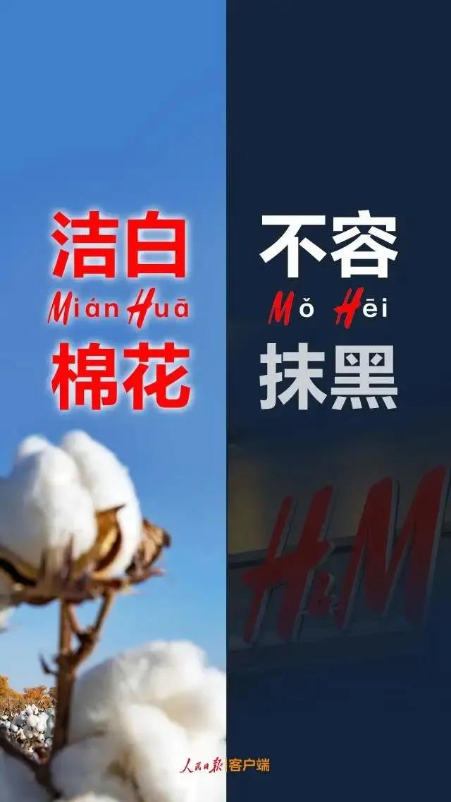 潔白棉花，不容抹黑