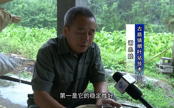 緊緊抓住木屑造粒機(jī)生物質(zhì)顆粒燃料加工場(chǎng)地建設(shè)項(xiàng)目落地的契機(jī)，找準(zhǔn)結(jié)合點(diǎn)，推動(dòng)共和綜合服務(wù)型煙農(nóng)專業(yè)合作社與生物質(zhì)顆粒燃料加工廠的緊密合作.jpg