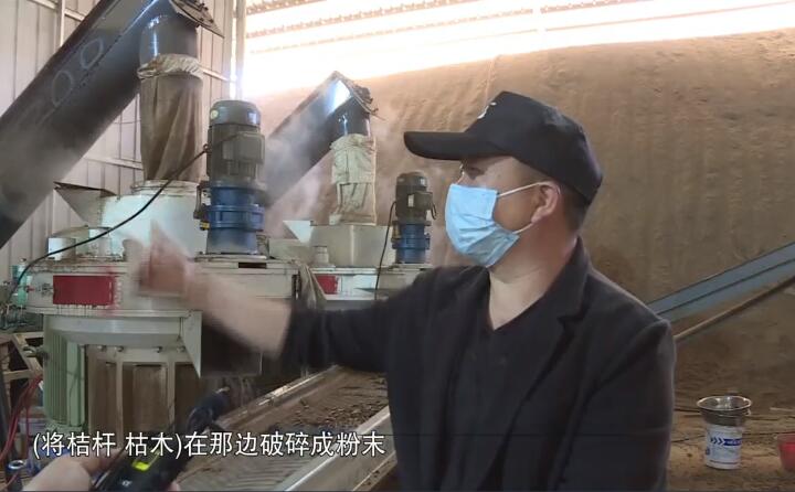 將桔桿、枯木在那邊破碎成粉末，然后經(jīng)過這兩個造粒機的碾壓，形成這種顆粒燃料出來，形成最后的產(chǎn)品.jpg